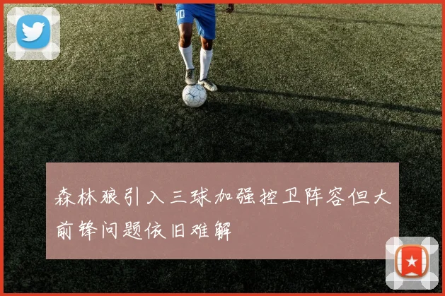 森林狼引入三球加强控卫阵容但大前锋问题依旧难解